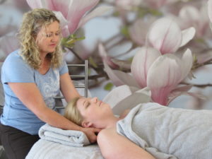 Diane Belz Massage Therapist